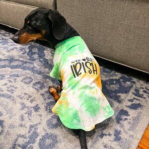Pet Medium 'Wee Bit Irish' Orange & Green Random Tie-Dye T-Shirt